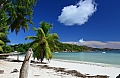 0024 Praslin - Anse Volbert