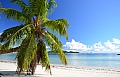 0033 Praslin - Anse Volbert