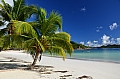 0037 Praslin - Anse Volbert