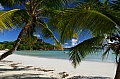 0038 Praslin - Anse Volbert