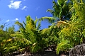 0068 Curieuse Island