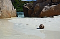 0087 Curieuse Island
