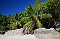 0146 Praslin - Anse Georgette