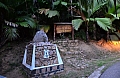0156 Praslin - Vall&egravee de Mai