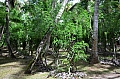 0165 La Digue