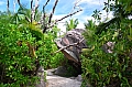 0175 La Digue - Anse Source d'Argent