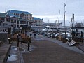 Cape Town - Waterfront 0001