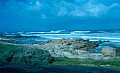 Garden Route 0006