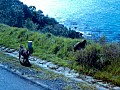 Garden Route 0013