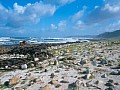 Garden Route 0015