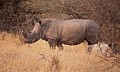 Makalali Reserve 0001