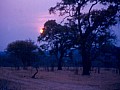 Makalali Reserve 0034