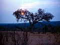 Makalali Reserve 0035