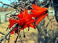 Mpumalanga 0007