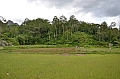 0039 Tana Toraja
