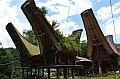 0042 Tana Toraja