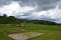 0044 Tana Toraja