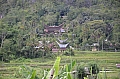 0045 Tana Toraja