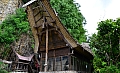 0051 Tana Toraja - Suaya