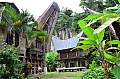 0054 Tana Toraja - Suaya