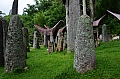 0081 Tana Toraja - Bori