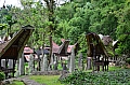 0086 Tana Toraja - Bori