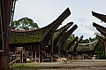 0090 Tana Toraja - Palawa