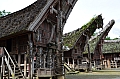 0092 Tana Toraja - Palawa
