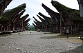 0098 Tana Toraja - Palawa
