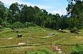 0101 Tana Toraja