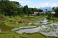 0103 Tana Toraja