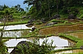 0108 Tana Toraja
