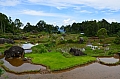 0111 Tana Toraja