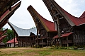 0113 Tana Toraja - Lempo