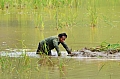 0115 Tana Toraja - Lempo