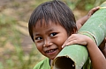 0117 Tana Toraja - Lempo
