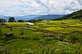 0119 Tana Toraja - Batutumonga