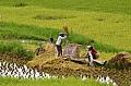 0121 Tana Toraja - Batutumonga