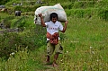 0123 Tana Toraja - Batutumonga