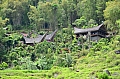 0130 Tana Toraja - Batutumonga