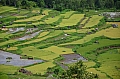 0142 Tana Toraja