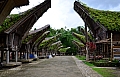 0146 Tana Toraja - Ke'te Kesu