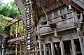 0148 Tana Toraja - Ke'te Kesu