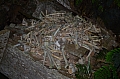 0154 Tana Toraja - Ke'te Kesu