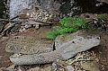 0163 Tana Toraja - Ke'te Kesu