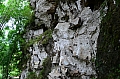 0164 Tana Toraja - Ke'te Kesu