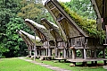 0171 Tana Toraja - Buntupune