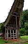0173 Tana Toraja - Buntupune