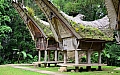 0174 Tana Toraja - Buntupune