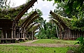 0177 Tana Toraja - Buntupune